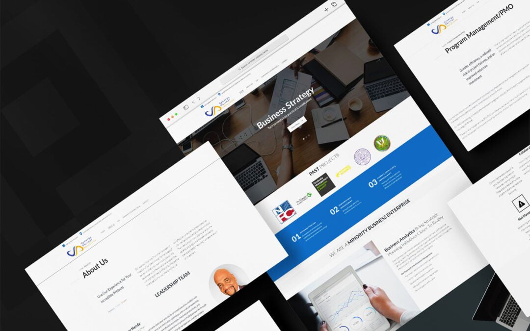 Synergy Partner Solutions